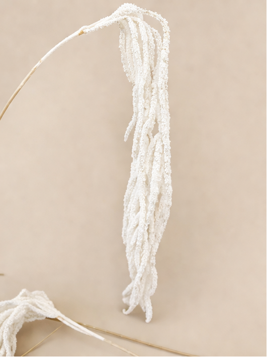 Collage of white dried plant branches on a beige background